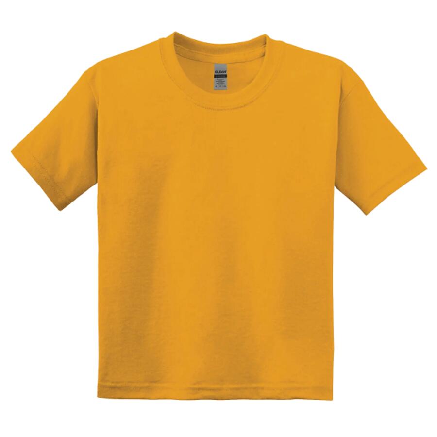 800B - GILDAN DRYBLEND YOUTH T-SHIRT Thumbnail